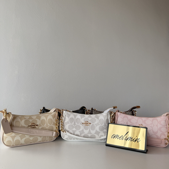 Coach Mini Teri Shoulder Bag