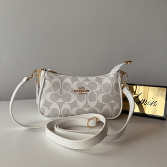 Coach Mini Teri Shoulder Bag