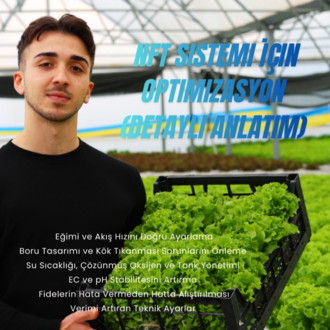 “NFT Sistem Mini Analiz – Hızlı Teşhis & Çözüm Paketi”