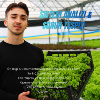 Sistem Analizi & Sorun Tespiti — Detaylı Hizmet Açıklaması