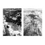 Snow Cities
