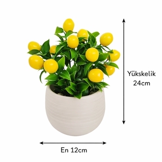 Yapay Limon Ağacı Saksılı