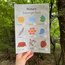Nature, Camping, Insects Scavenger Hunt