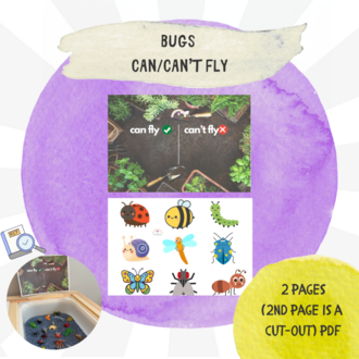Bugs – Can / Can’t Fly Sensory Play