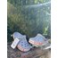 CROCS TAŞ~TURUNCU