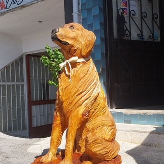 golden retriever