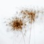 Untitled (30x30 cm)