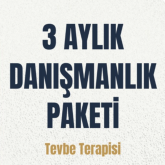 3 aylık danişmanlik paketi