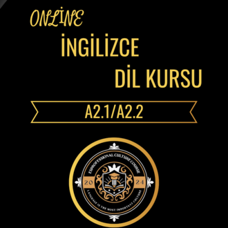 Online İngilizce Dil Kursu