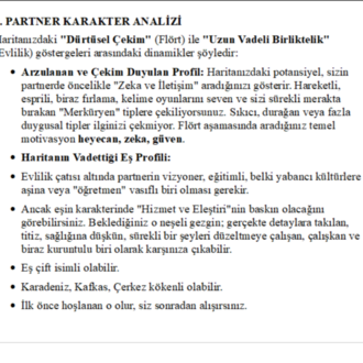 Potansiyel Eş ve Partner Analizi: Karakter, Meslek ve İlişki Dinamikleri