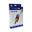 Peluria Pelür Kağıdı Etkinlik Seti - PARROT (PAPAĞAN)