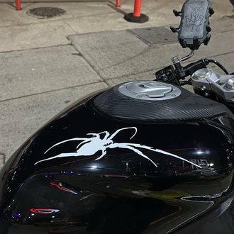 Örümcek sticker