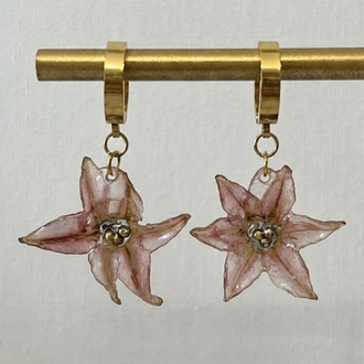 Pembe sümbül çiçegi