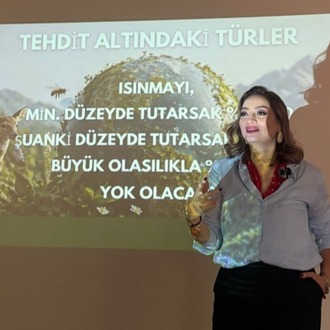 Hesaplamadan etkiye Karbonayakizi