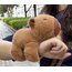 Kapibara Su Domuzu Bebek Bileklik Figür Peluş Oyuncak Kız Bebek Çocuk Bileği Küçük Kolye