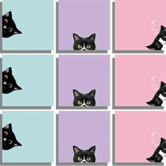 6 Adet Siyah Kedi Yapışkan Not Kağıdı Seti