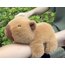 Kapibara Su Domuzu Bebek Bileklik Figür Peluş Oyuncak Kız Bebek Çocuk Bileği Küçük Kolye