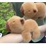 Kapibara Su Domuzu Bebek Bileklik Figür Peluş Oyuncak Kız Bebek Çocuk Bileği Küçük Kolye