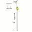 2 li Limon Detaylı Cam Pipet