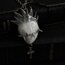 Sweet Pain Pendant