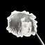 HYNA | Glossy Sticker
