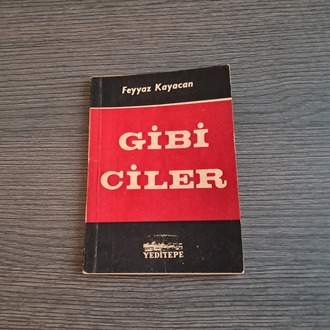 Feyyaz Kayacan - Gibiciler