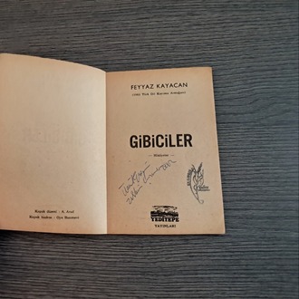 Feyyaz Kayacan - Gibiciler