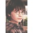 Harry Potter 30'lu Duvar Posteri Seti Oda Dekoru Harry Potter Poster Seti