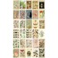 Vintage Botanical 30'lu Duvar Posteri Seti Oda Dekoru Vintage Botanical Poster Seti