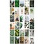 Botanical 30'lu Duvar Posteri Seti Oda Dekoru Botanik Temalı Poster Seti