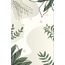 Botanical 30'lu Duvar Posteri Seti Oda Dekoru Botanik Temalı Poster Seti