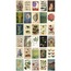 Vintage Botanical 30'lu Duvar Posteri Seti Oda Dekoru Vintage Botanical Poster Seti