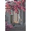 Aesthetic Flowers 30'lu Duvar Posteri Seti Oda Dekoru Aesthetic Flowers Poster Seti