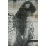 Dark Pixie 30'lu Duvar Posteri Seti Oda Dekoru Dark Pixie Poster Seti