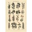 Vintage Botanical 30'lu Duvar Posteri Seti Oda Dekoru Vintage Botanical Poster Seti