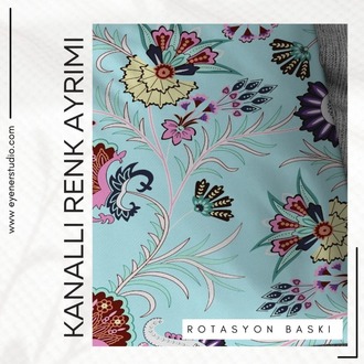 Kanallı Renk Ayrımı Hizmeti