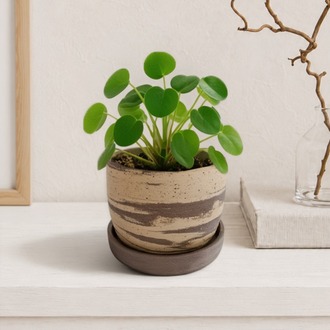 Stoneware Saksı + Tabak Seti