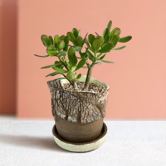 Stoneware Saksı & Tabak Seti (Özel Seri)