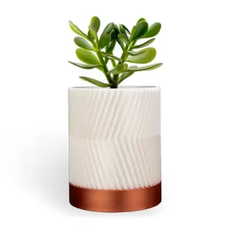 CYLINDRIX Duvar Saksısı
