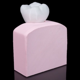 Implant Diş Modeli