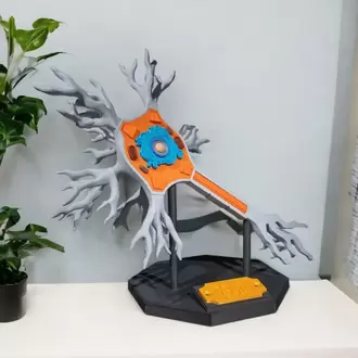 Nöron Hücre Modeli