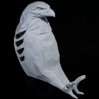 Kartal Duvar Gece Lambası