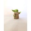 Minik Jedi Figürü