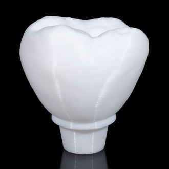 Implant Diş Modeli