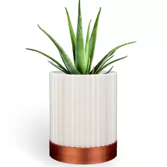 CYLINDRIX Duvar Saksısı