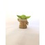 Minik Jedi Figürü