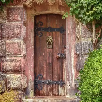 Aslan Kral Kapı Tokmağı