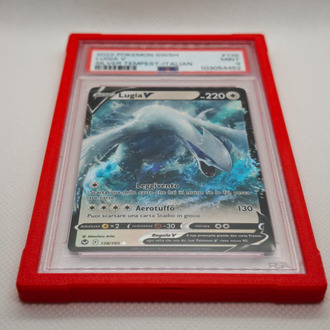 PSA Graded Kart Koruyucu Çerçeve
