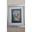 Secretary Bird