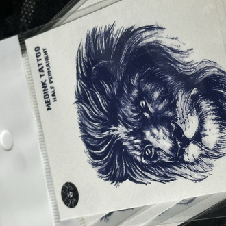 Minimal aslan